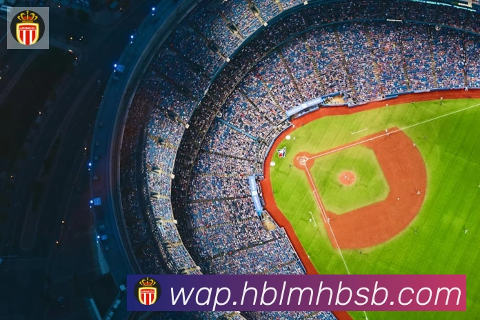 爱游戏ayxAPP 体育赛事宣传图